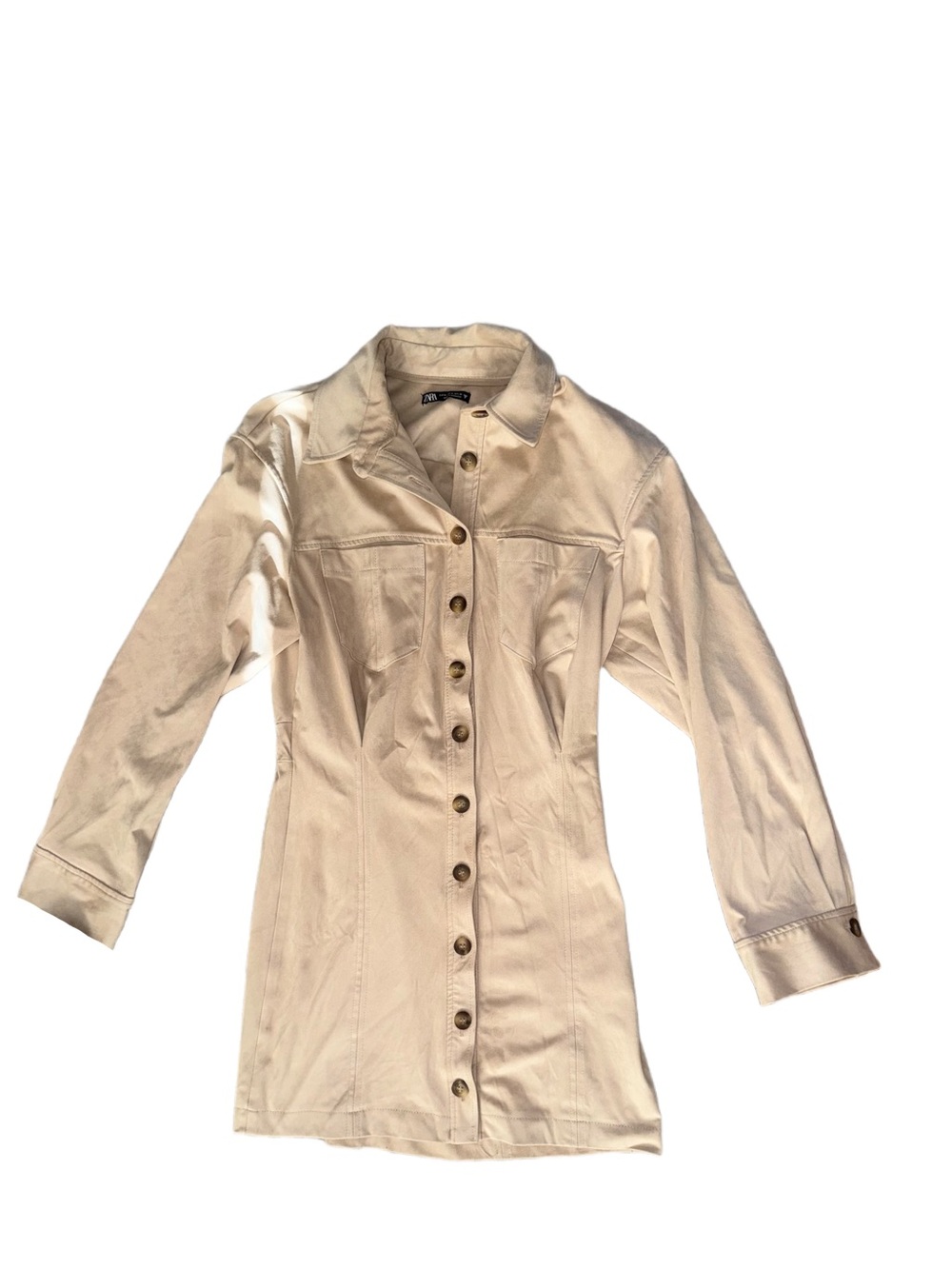 Zara Button-Front Suede Shirt Dress